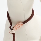 Ринговка для собак, 150×0.6 см, коричневая - Фото 5