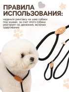 Ринговка для собак, 150×0.6 см, чёрная - Фото 3