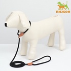 Ринговка для собак, 150×0.6 см, чёрная - Фото 4