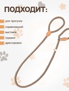 Ринговка для собак, 150×1 см, бежевая - Фото 2