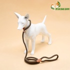 Ринговка для собак, 150×1 см, бежевая - Фото 4