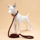 Ринговка для собак, 150×1.2 см, коричневая - Фото 5