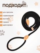 Ринговка для собак, 150×1 см, чёрная - Фото 3