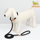 Ринговка для собак, 150×1 см, чёрная - Фото 5