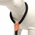 Ринговка для собак, 150×1 см, чёрная - Фото 6