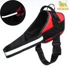 Шлейка К9, размер M, ОГ 55-65 см, вес 11-20 кг, мягкая, светоотражающая, красная - Фото 1