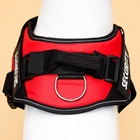 Шлейка К9, размер M, ОГ 55-65 см, вес 11-20 кг, мягкая, светоотражающая, красная - Фото 6