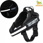 Шлейка К9 мягкая светоотражающая, размер M, ОГ 55-65 см, вес 11-20 кг, чёрная - Фото 1