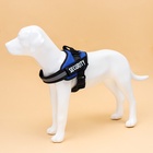 Шлейка К9 мягкая светоотражающая, размер XL, ОГ 80-95 см, вес 30-45 кг, синяя - Фото 2