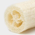 Мочалка для тела натуральная Доляна, 10.5×6×6 см, бежевая - Фото 4