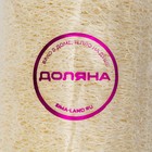 Мочалка для тела натуральная Доляна, 10.5×6×6 см, бежевая - Фото 6