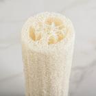 Мочалка для тела натуральная Доляна, 18×6 см - Фото 2