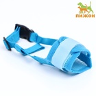 Намордник сетчатый с двойной фиксацией, размер S, голубой - Фото 2