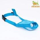 Намордник сетчатый с двойной фиксацией, размер M (длина по носу 10 см, обхват морды 20 см), голубой - Фото 2