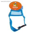 Намордник сетчатый с двойной фиксацией, размер M (длина по носу 10 см, обхват морды 20 см), голубой - Фото 7