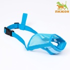 Намордник сетчатый с двойной фиксацией, размер L (длина по носу 6 см, обхват морды 25 см), голубой - Фото 2