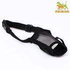 Намордник сетчатый с двойной фиксацией, размер M (длина по носу 10 см, обхват морды 20 см), чёрный - Фото 2