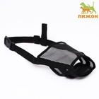 Намордник сетчатый с двойной фиксацией, размер L (длина по носу 6 см, обхват морды 25 см), чёрный - Фото 2