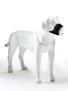 Намордник сетчатый, размер L, длина по носу 6 см, обхват морды 25 см, с двойной фиксацией, чёрный - Фото 9