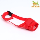 Намордник сетчатый с двойной фиксацией, размер M (длина по носу 10 см, обхват морды 20 см), красный - Фото 2