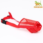 Намордник сетчатый с двойной фиксацией, размер L (длина по носу 6 см, обхват морды 25 см), красный - Фото 2