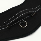 Шлейка с подкладом светоотражающая, размер XL, ОШ 68, ОГ 68-86 см, стропа 2,5 см, чёрная 3680506