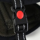 Шлейка с подкладом светоотражающая, размер XL, ОШ 68, ОГ 68-86 см, стропа 2,5 см, чёрная 3680506