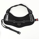 Шлейка с подкладом светоотражающая, размер XL, ОШ 68, ОГ 68-86 см, стропа 2,5 см, чёрная 3680506