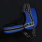 Шлейка с подкладом светоотражающая, размер L (ОШ 66, ОГ 66-80 см), стропа 2,5 см, синяя - фото 42711187