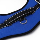 Шлейка с подкладом светоотражающая, размер L (ОШ 66, ОГ 66-80 см), стропа 2,5 см, синяя - фото 42711189