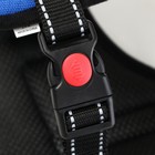 Шлейка с подкладом светоотражающая, размер L (ОШ 66, ОГ 66-80 см), стропа 2,5 см, синяя - фото 42711190