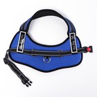 Шлейка с подкладом светоотражающая, размер L (ОШ 66, ОГ 66-80 см), стропа 2,5 см, синяя - фото 42711191