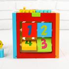 Бизиборд «Цветной» - Фото 5