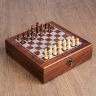 Набор 4 в 1: шахматы, покер (100 фишек, 2 колоды, кубики 5 шт), 24 х 24 см - Фото 3