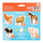 Макси-пазлы «Животные фермы», реалистичные, 5 пазлов, 10 деталей - Фото 3