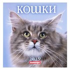 Календарь на скрепке "Кошки" 2019 год, 23х23см - Фото 1