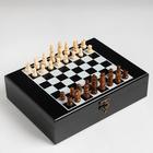 Набор 2 в 1: шахматы, лото, 22 х 27 см - Фото 2