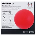 Фитбол ONLYTOP, d=75 см, 1000 г, антивзрыв, цвет фиолетовый 3544003 - фото 323602