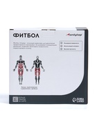 Фитбол ONLYTOP, d=75 см, 1000 г, антивзрыв, цвет голубой - фото 7100477