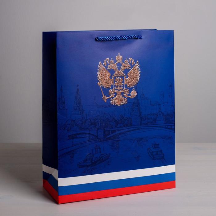 Пакет подарочный вертикальный, упаковка, «Могучая страна», 25 х 32 х 12 см - Фото 1