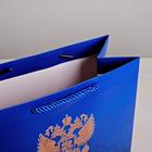 Пакет подарочный вертикальный, упаковка, «Могучая страна», 25 х 32 х 12 см - Фото 3