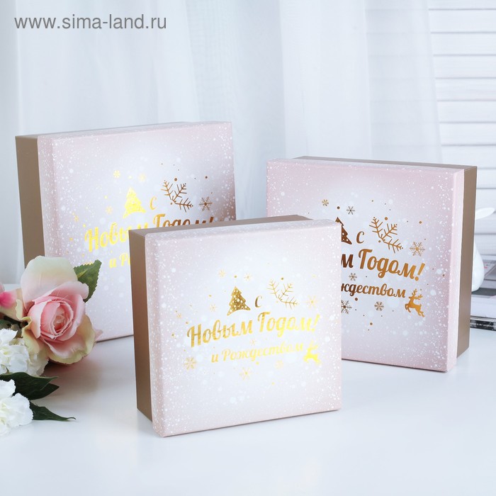 Набор коробок 3 в 1, 20 х 20 х 9,5 - 15,5 х 15,5 х 7,5 см - Фото 1