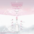 Вода минеральная природная столовая Evian, 0,33 л - Фото 2