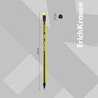 Карандаш чернографитный, ErichKrause «Vivo», HB, d=2.2 мм, с ластиком, дерево, трехгранный в тубусе, микс (комплект 14 шт) - фото 25974377
