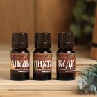 Набор эфирных масел 3 шт по 10 мл "Здоровья в Новом году!", апельсин, пихта, кедр - Фото 2