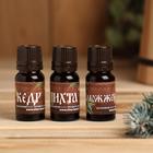 Набор эфирных масел 3 шт по 10 мл "Жаркой баньки в Новом году!", можжевельник, пихта, кедр - Фото 2