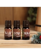 Новогодний набор эфирных масел «Хозяину бани!», сосна, кедр, эвкалипт, 3 шт. по 10 мл - Фото 3