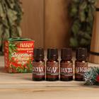 Набор эфирных масел 4 шт по 10 мл "Здоровья в Новом году!" - Фото 1
