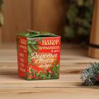 Набор эфирных масел 4 шт по 10 мл "Здоровья в Новом году!" - Фото 3