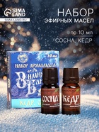 Новогодний набор эфирных масел «Зимняя банька!», кедр, сосна, 2 шт. по 10 мл - Фото 1